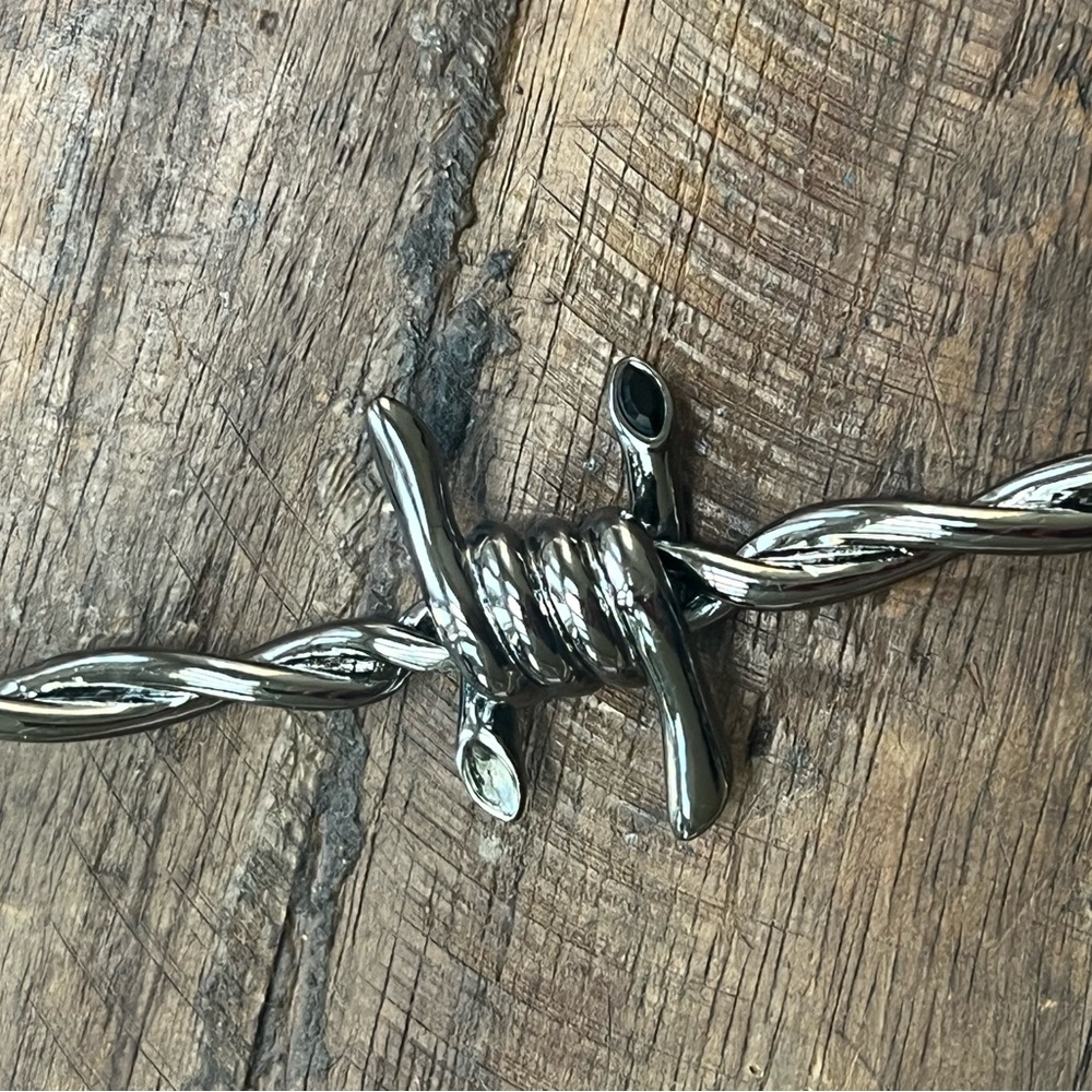 NWT and Box Agent Provocateur Thorn / Barbed Wire Necklace - Picture 4 of 7